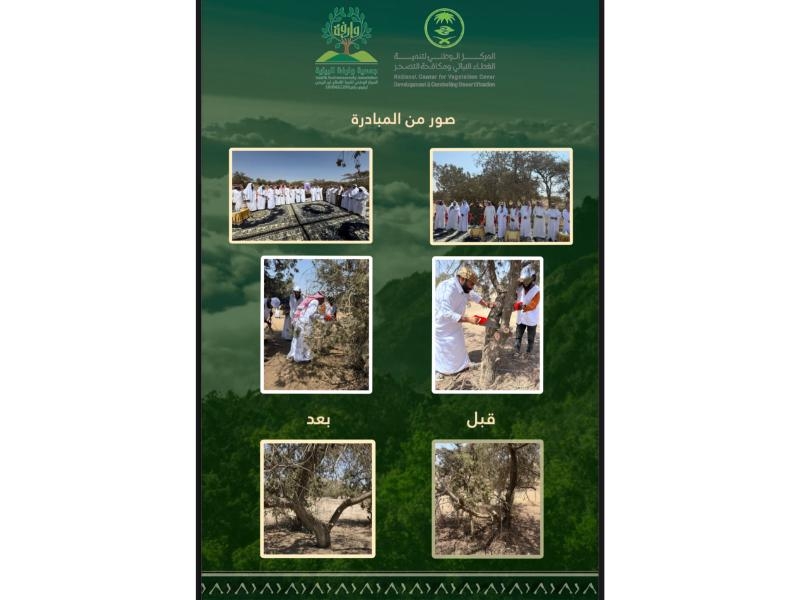 صور للمبادرة